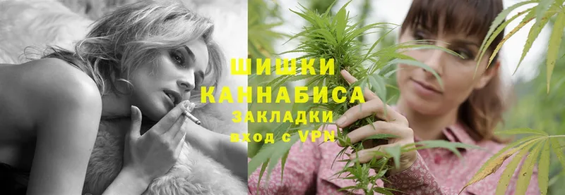 это наркотические препараты  Змеиногорск  Марихуана SATIVA & INDICA 